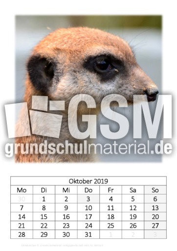 Oktober_Erdmännchen.pdf